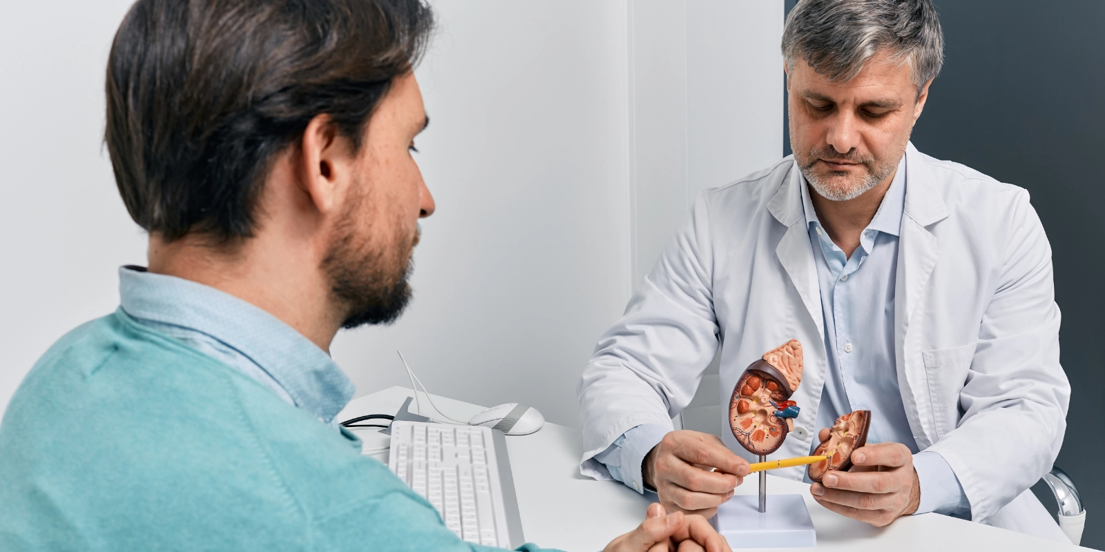 Urology consultation